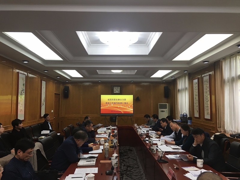 918博天堂集团加入省国资委安康协力团扶贫事情督导检查汇报会