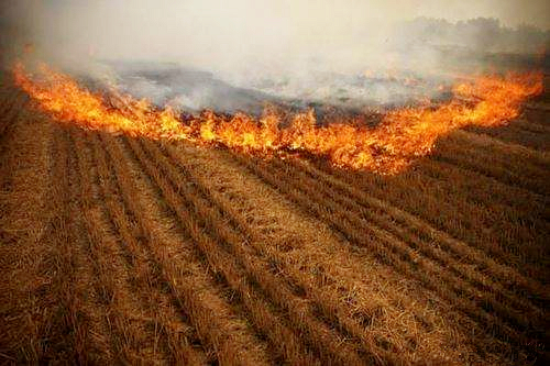 熊良虎赴京考察德国迪芬巴赫公司、、ESATPOINT GLOBAL公司生态环保板材装备工艺