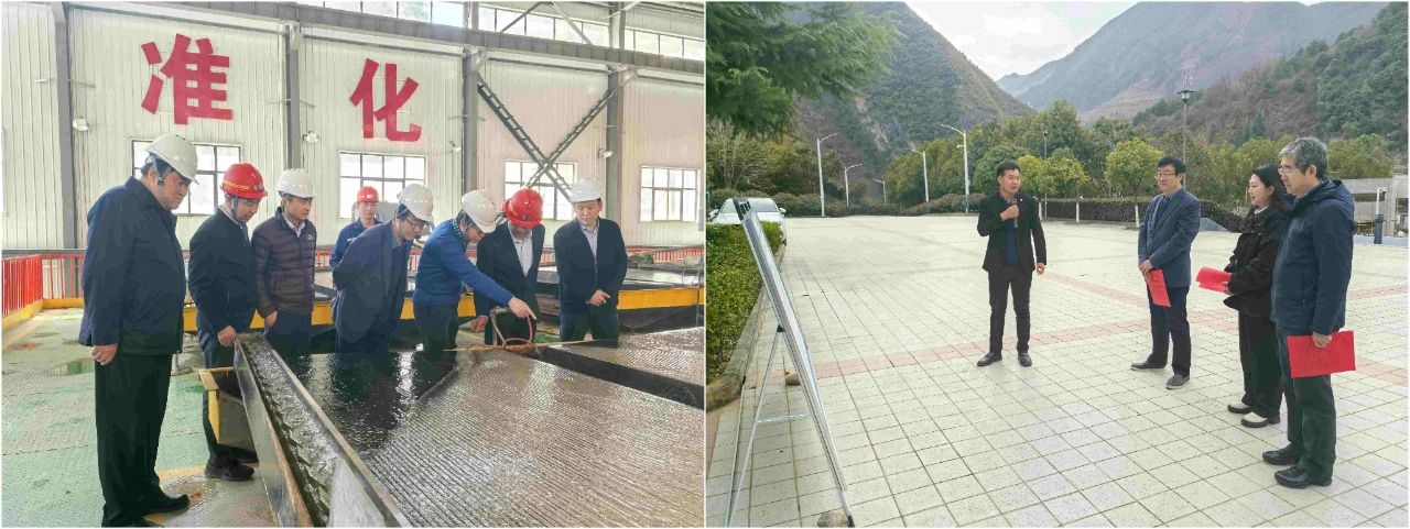 918博天堂集团外部董事赴鼎丰矿业公司、、、水情形公司镇安污水处理厂调研指导事情