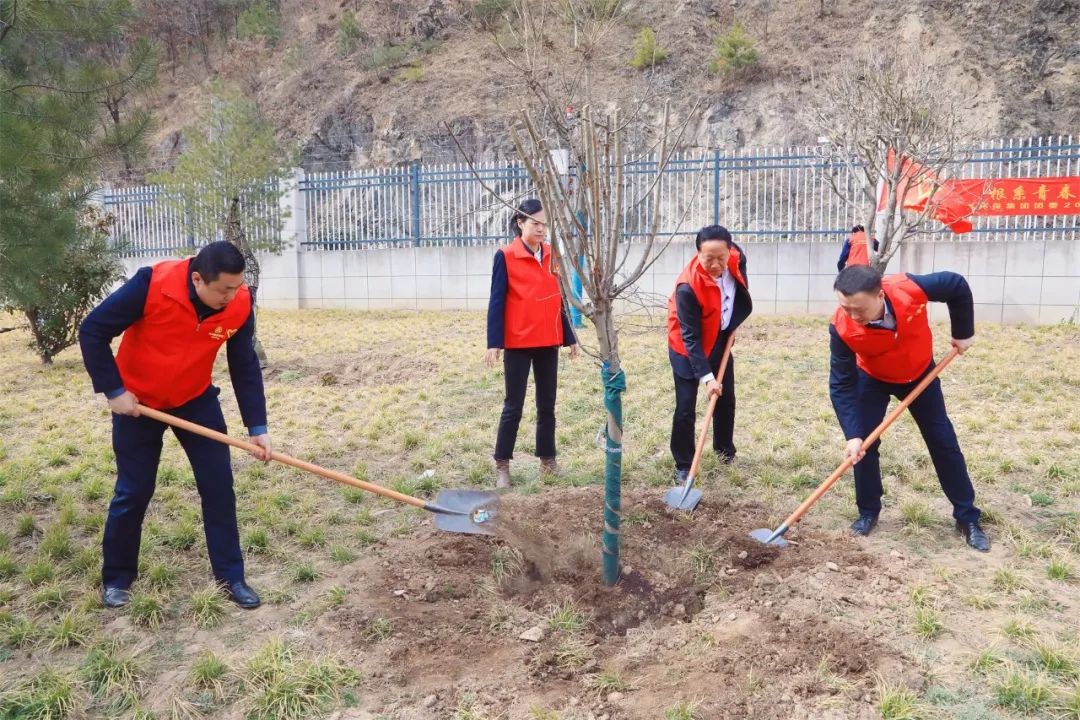 根系青春·植此青绿｜918博天堂集团团委开展义务植树自愿活动